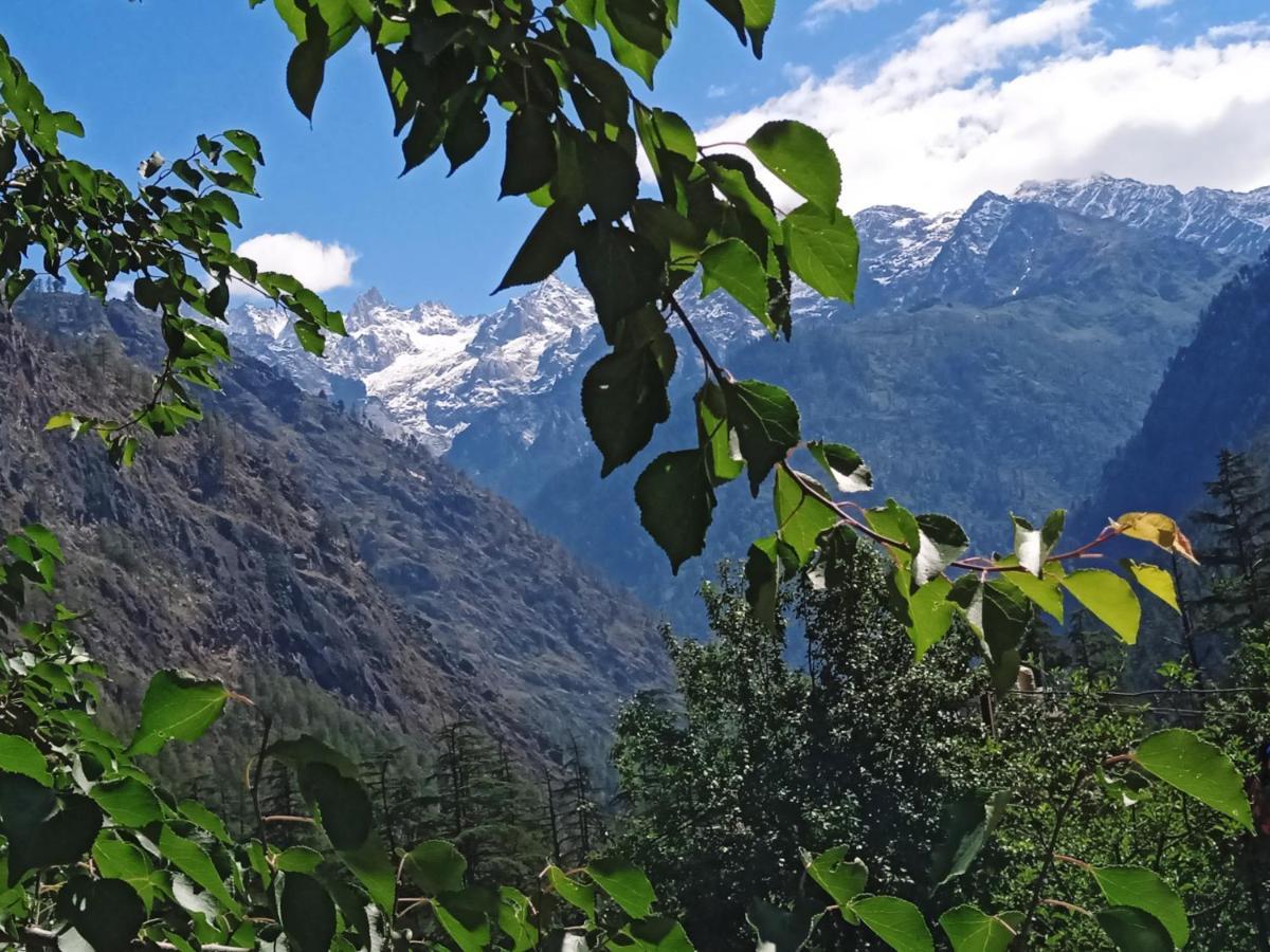 Kasol View Hotel Kültér fotó